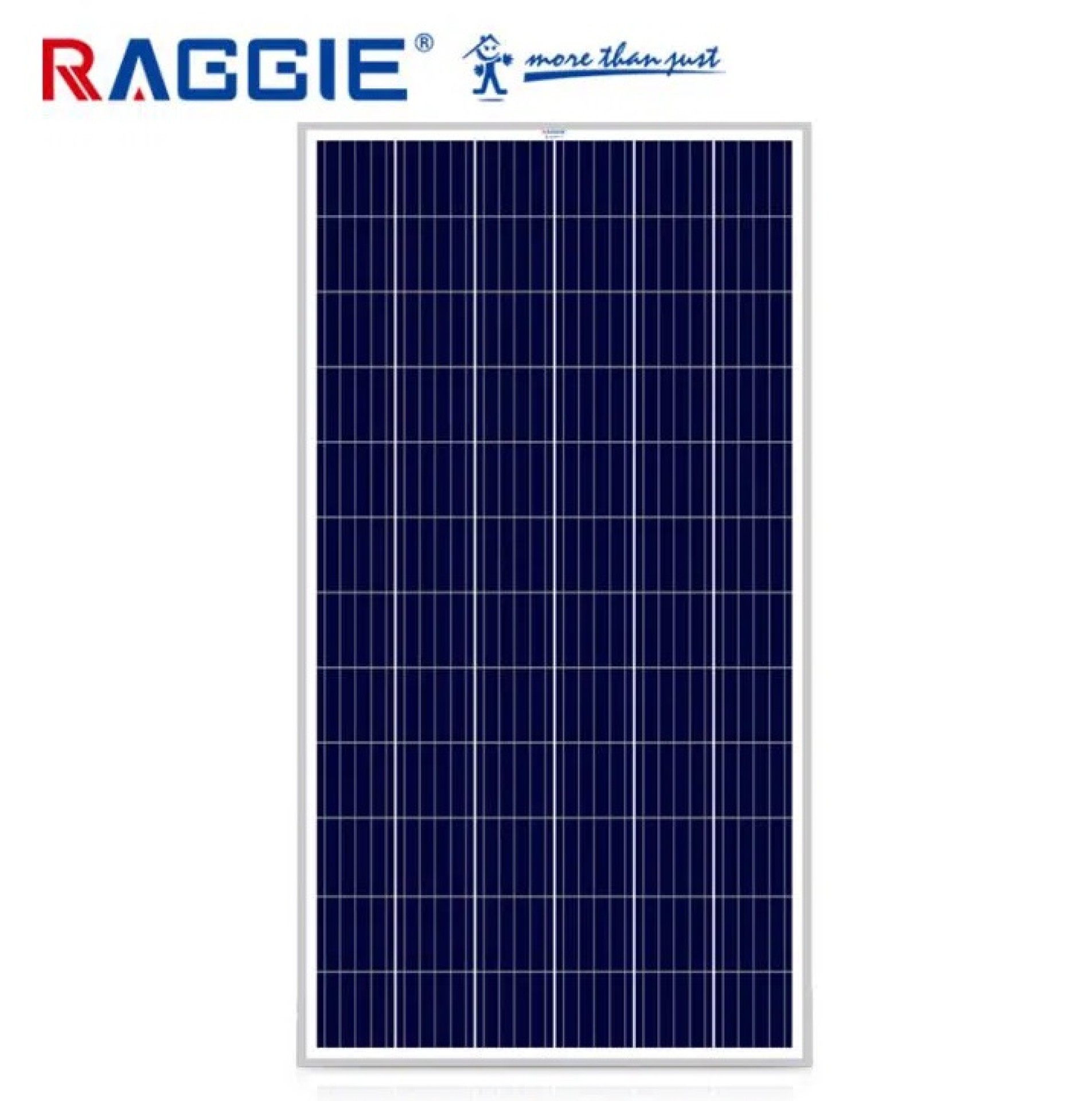 الواح شمسية شركة  RAGGIE